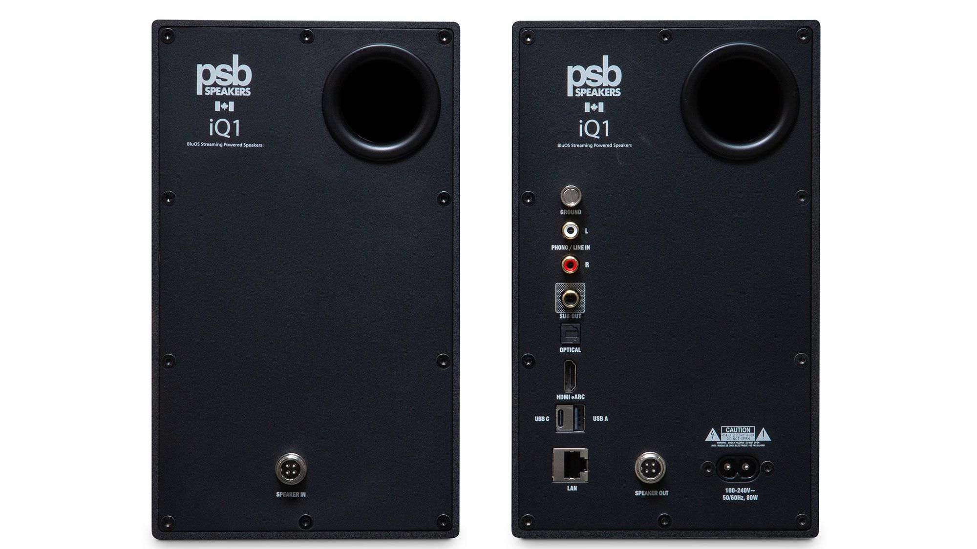 PSB Speakers iQ1 Schwarz Rückseite