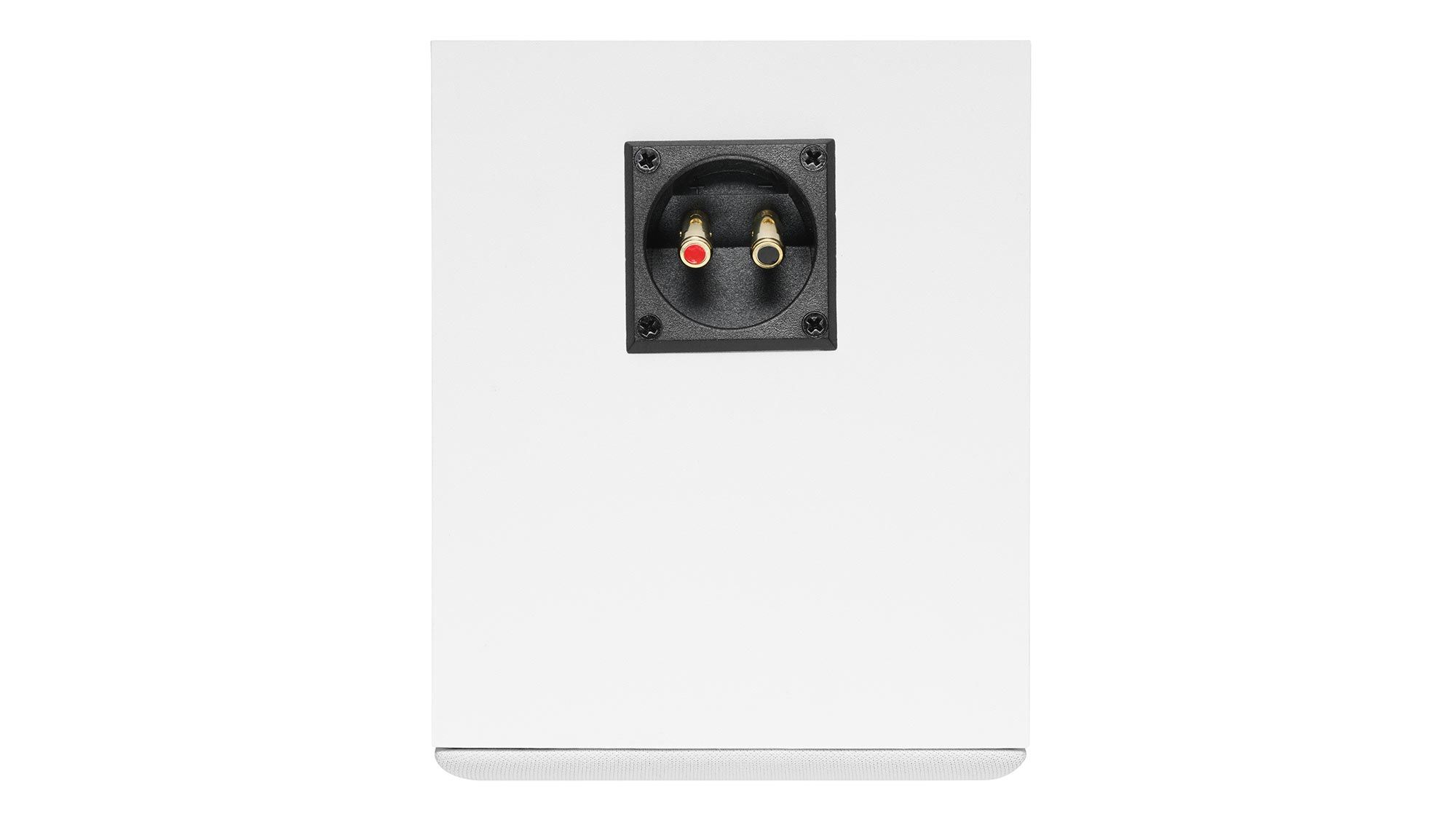 DALI ALTECO C-1 Weiß Rückseite mit Anschlüssen