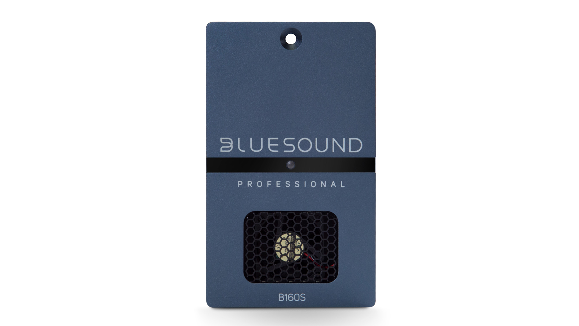 Bluesound Professional B160S Frontansicht
