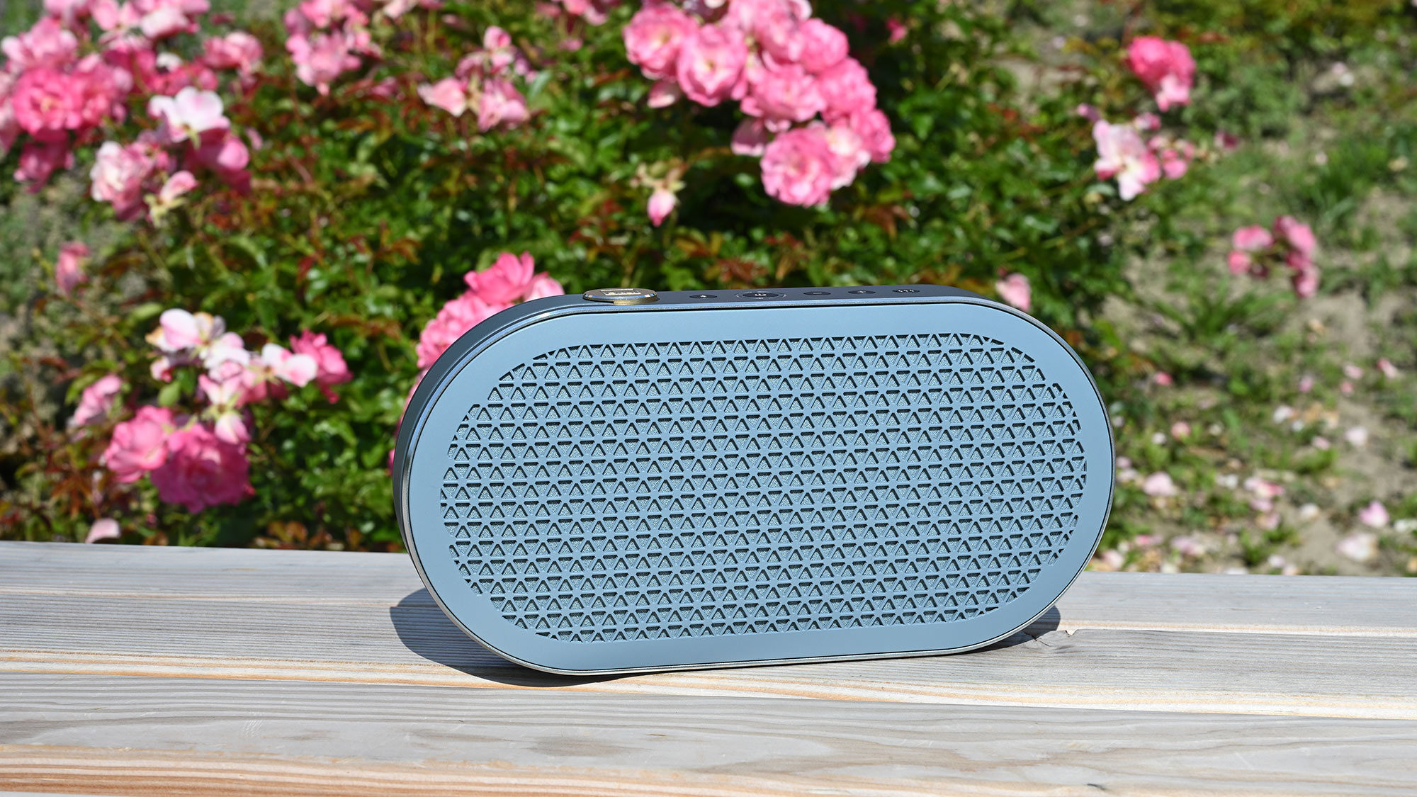 DALI KATCH G2 Chilly Blue
